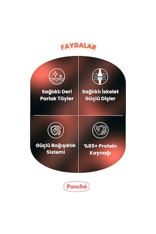 Pancho Kısır Tavuklu Yetişkin Kedi Maması 15 Kg