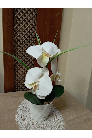 3 Kandilli Beyaz Islak Orkide Elegans Masaüstü Yapay Aranjman 30 Cm