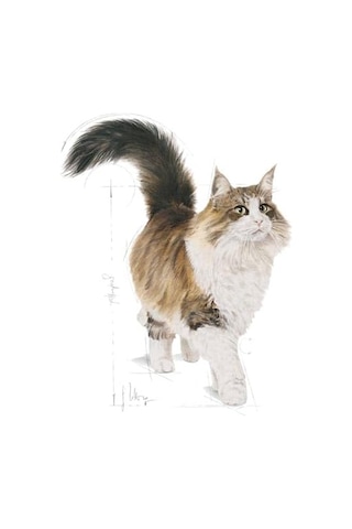 Instinctive 7+ Kedi Yaş Mama, 85 Gr