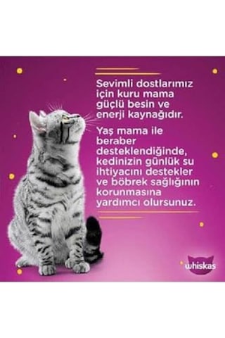 Pouch Pure Delight Jöle İçinde Tavuklu Ve Somonlu Yetişkin Kedi Konservesi 4x85 Gr