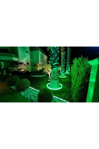 Palmiye Çember Aydınlatma Ip67 50cm