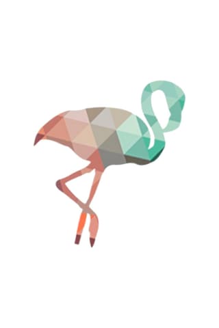 Suntek Tuval Modern Dekor Duvar Sanatı Boyama Resim Flamingo