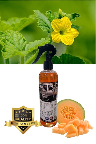 Abrias Kavun Oto Ve Oda Kokusu 400ml