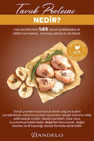 Bandelo Tavuklu Sebzeli Yetişkin Kuru Kedi Maması 750gr - Parlak Tüy Ve Koku Önleyici Etkili