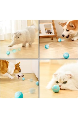 10 Adet İnteraktif Kedi Köpek Şarjlı Oyun Topu