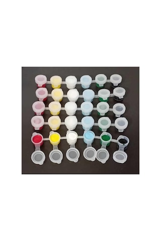5 Adet 6'lı Plastik Kutu 6 Ana Renk Boya İle Birlikte