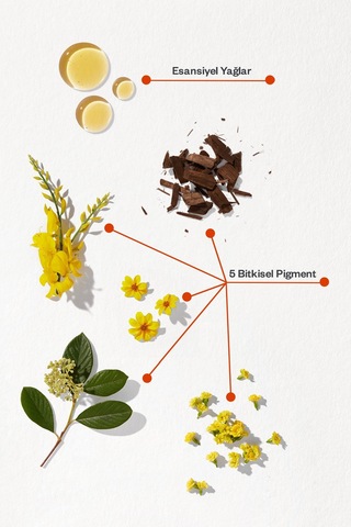 Phyto Color 5.5 Açık Kestane Akaju Amonyaksız Kalıcı Bitkisel Saç