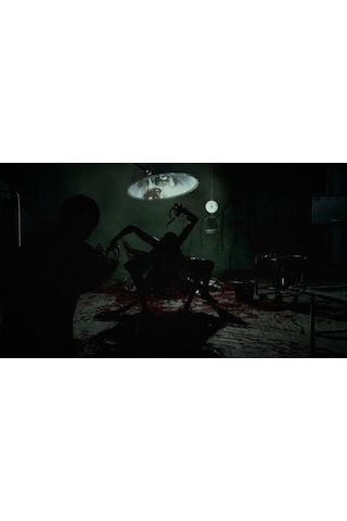 The Evil Within Playstation 4 Oyun Cd