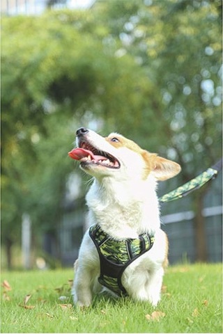 M-pets Hiking Reflektörlü Köpek Göğüs Tasması Kamuflaj Medium 40-75 Cm 244-58021.02 Çok Renkli