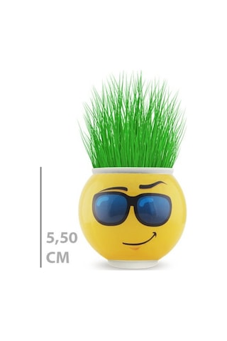 Konyax Çim Adam Saksı Emoji Figürlü 1 Adet