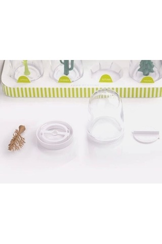 Seasoning Shakers Dört Mevsim Baharatlık Renkli