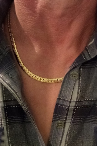 Altın Kaplama Ezme Yassı Yılan Model Çelik Erkek Kolye Eck37 Altın