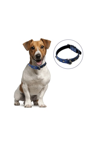 River World Yumuşak Dokulu Deri Köpek Gezdirme Boyun Tasması (Large)