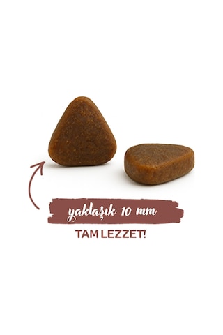 Sanabelle Indoor Gine Tavuğu Ve Yaban Mersinli Yetişkin Kuru Kedi Maması 8 Kg