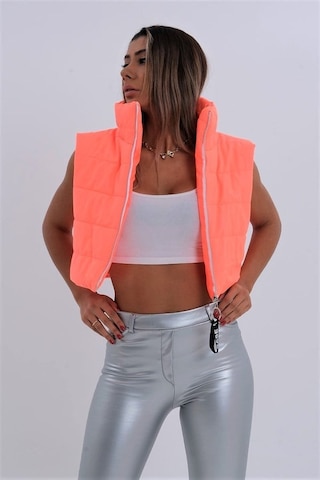 Veraura Lifestyle Nar Çiçeği Dik Yaka Kısa Şişme Yelek Narçiçeği