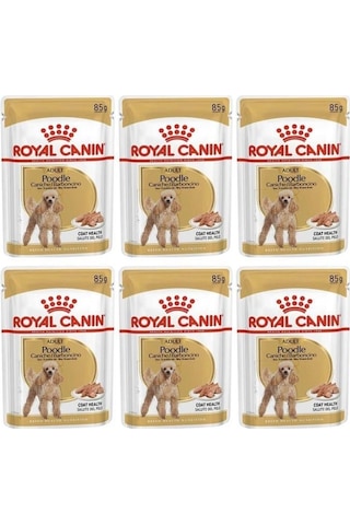 Royal Canin Poodle Yetişkin Pouch Yaş Köpek Maması 6 x 85 G