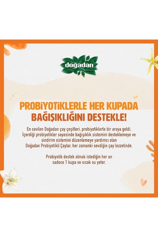 Doğadan Probiyotikli Vanilyalı Rooibos Çayı + Probiyotikli Açai Ananaslı Yeşil Çay Süzen Poşet 2 x 14'lü