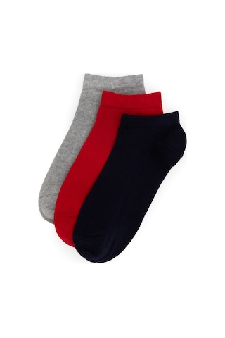 U.s. Polo Assn. Erkek Çocuk Lacivert Çorap 50311341-vr033 Lacivert