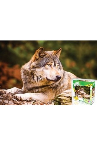 Ks Puzzle 100 Parça Animal Planet Lonewolf Yalnız Kurt