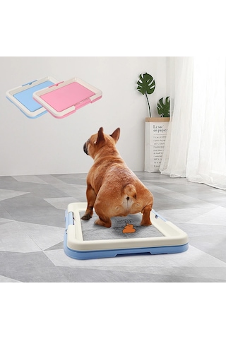 Taşınabilir Köpek Eğitim Tuvaleti - Kapalı Köpekler İçin Lazımlık, Kedi Kumu Kutusu Ve Ped Tutucu