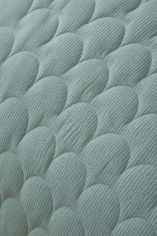 Summer Pike Comforter Set Sandy Çift Kişilik Yeşil Yeşil