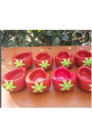 Çilek Saksı İç-dış Mekan