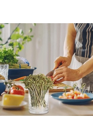 Ulzyvf Şişleme Bambu Çubuk 200 Adet Doğal Meyve Kokulu Çubuklar 12 Cm Diğer