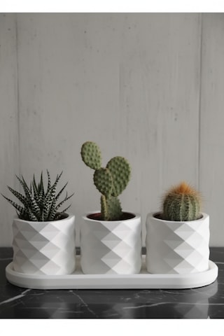 3 Lü Dekoratif Saksı Seti Ve Altlık 6x7cm Saksılar + 23x11 Cm Tabak 4 Parça