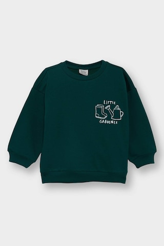 Defacto Erkek Bebek Bisiklet Yaka Baskılı İçi Yumuşak Tüylü Sweatshirt E9242a525augn671 Yeşil