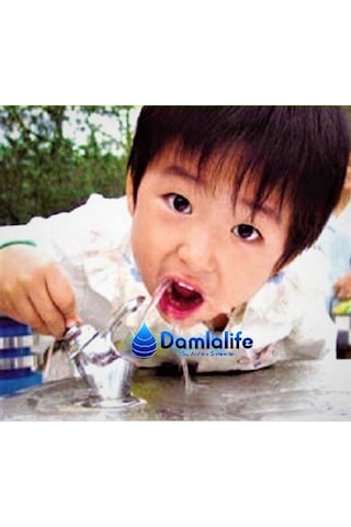 Damlalife Fışkırtmalı Musluk Basmalı Su Çeşme