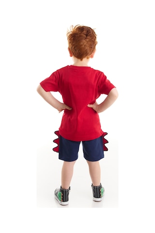 Denokids Cool Dino Erkek Çocuk Şort Takım Çok Renkli