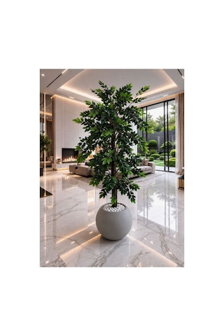 Zeytin Ağacı 150 Cm Gri Küre Saksı Dahil Yeşil Zeytin Ağacı 150 Cm Gri Küre Saksı Dahil Yeşil