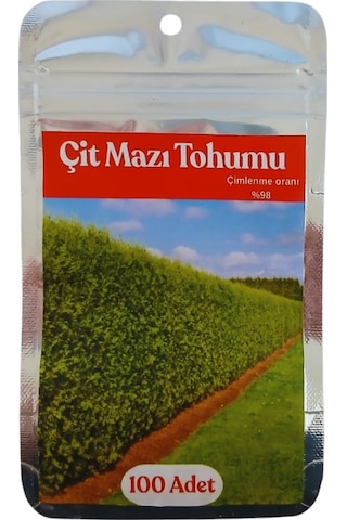 250 Adet Çit Mazı Tohumu, Mazı Tohumu