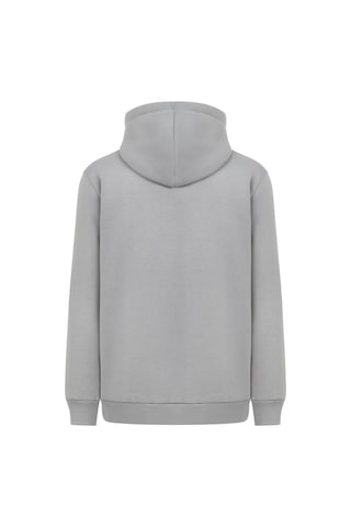 Mysport My Sport 5018 Erkek Yumuşacık Kapüşonlu Organik Pamuk Kanguru Cepli Açık Gri Sweatshirt Açık Gri