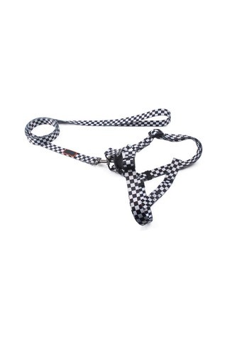 Geeroyoo Ayarlanabilir Poliester Köpek Tasması Ve Koşum Takımı - Siyah Desenli, Orta Boy Siyah