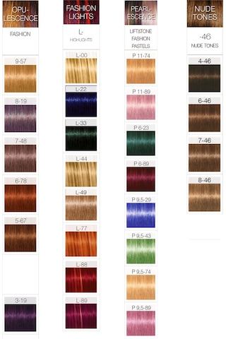 Igora Royal 6 - 6 Koyu Kumral Çikolata 2 Adet Boya +Oksidan 20Vol
