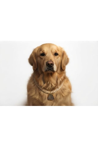 El Yapımı Doğal Taş Köpek Tasması Ayarlanabilir Beyaz