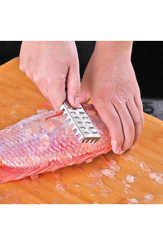 MSO Paslanmaz Çelik Balık Pulu Temizleme Aparatı