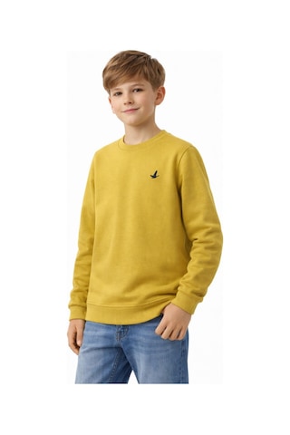 Baglan Erkek Çocuk Sweatshirt Bgl-st05228 Yeşil