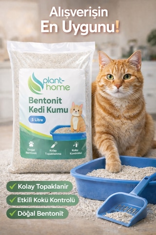 Bentonit Kedi Kumu 5 Litre Doğal, Kolay Topaklanan, Etkili Koku Kontrollü