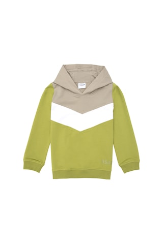 U.S. Polo Assn. Kız Çocuk Fıstık Yeşili Kapüşonlu Sweatshirt 50296288-VR087