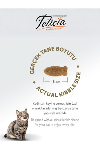 Somonlu Kolajen Destekli Hipoalerjenik Düşük Tahıllı Yetişkin Kedi Maması 5kg
