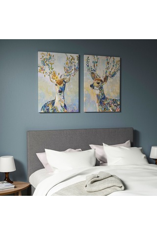 Ikea Pjätteryd Resim 50x70 Cm 2'li Çok Renkli