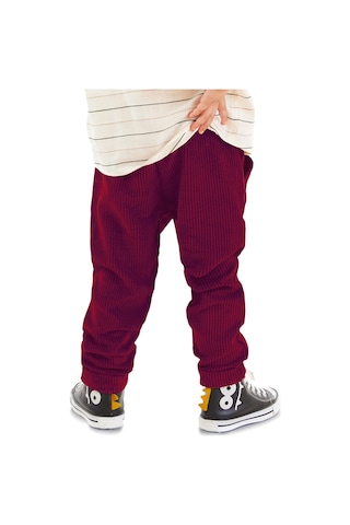 Denokids Fitilli Kadife Bordo Erkek Çocuk Pantolon Renkli