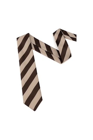 Pierre Cardin Erkek Kahverengi Kravat 50319181-400 Kahverengi
