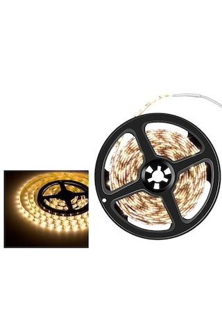 Cata Dış Mekan Silikonlu Günışığı Şerit Led Ct-4488 5 METRE