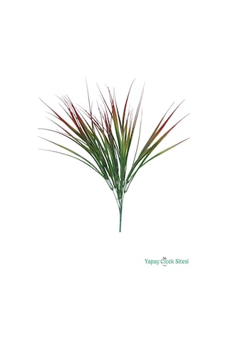 Yapay Çiçek Sitesi Kuru Çiçek Doğal Saz Çiçeği 50cm 6lı Kızıl-yeşil