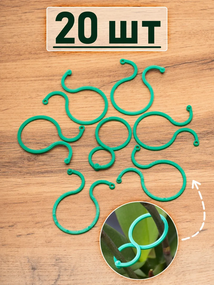 Buzzing Bitki Tutucu 242941184