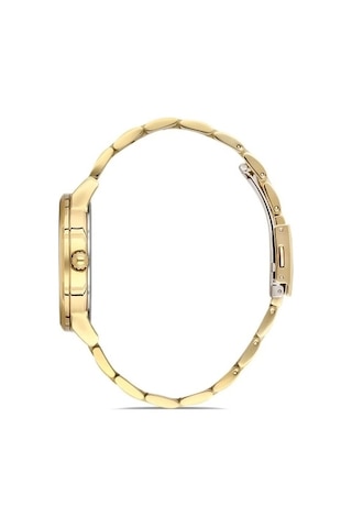 Ferro Sarı Çelik Kordon Erkek Kol Saati F11183a-b Gold