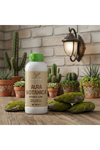 Aura Botanica Üçlü 500 Ml 3 Adet Kaktüs Ve Skulent İçin Daha Canlı Görünüm Ve Dengeli Büyüme 500 ML